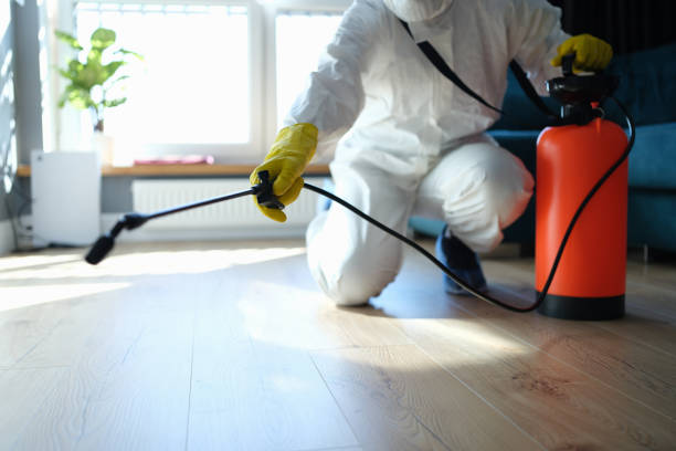 Insect Control in Moultrie, GA