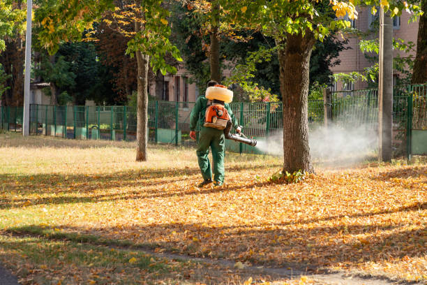 Best Emergency Pest Control  in Moultrie, GA