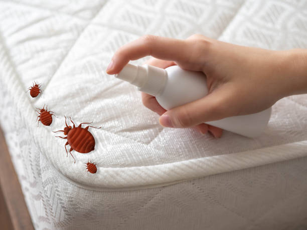 Best Pest Inspection Near Me  in Moultrie, GA