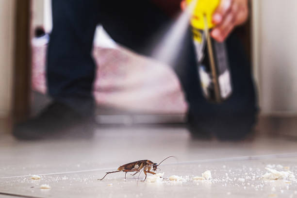 Best Best Pest Control Companies  in Moultrie, GA