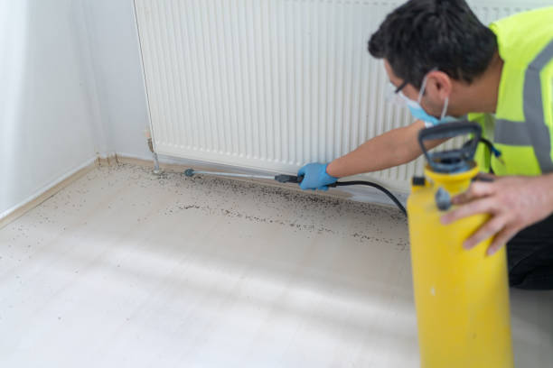 Best Mosquito Control Services  in Moultrie, GA
