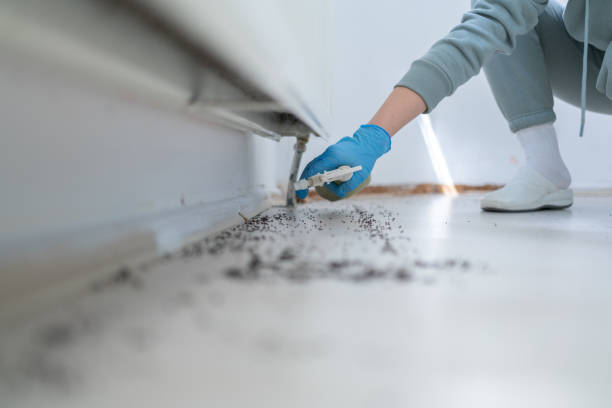 Best Spider Control Near Me  in Moultrie, GA