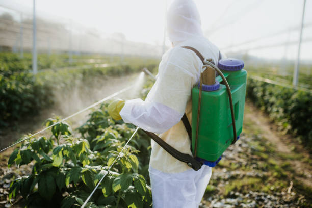 Best Flea Control Services  in Moultrie, GA